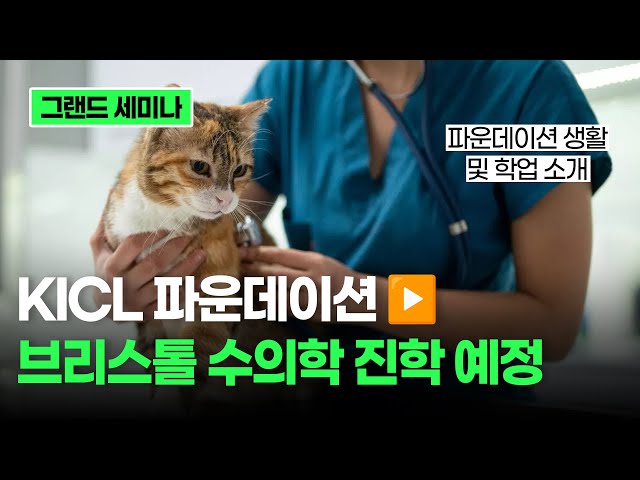 96917fa9283bfae7b62ff30de16fde4e_1762126066_3582.jpg 96917fa9283bfae7b62ff30de16fde4e_1762126066_3582.jpg